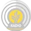Logo Radio Pan Diario