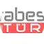 Logo Arabesk Turk