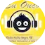 Logo Rádio Hulha Negra FM