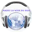 Logo Radio La Voix du Sud Internationale
