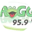 Logo Froggy 96