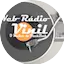 Logo Web Rádio Vinil