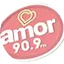 Logo Amor 90.9 FM