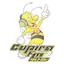 Logo Rádio Cupira FM