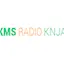 Logo FKMS Radio