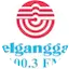 Logo Elgangga FM
