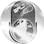 Logo Salt FM