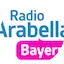 Logo Arabella Bayern