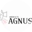 Logo Rádio Angus del Rei