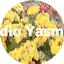 Logo Rádio Yasmin