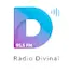 Logo Divinal FM