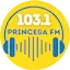 Logo Princesa FM
