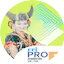 Logo RRI Pro 1 Ambon