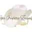 Logo Fiesta Grupera Zacualpan