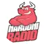 Logo Narodni radio Zenica