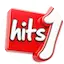 Logo Hits 1 radio