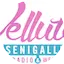 Logo Radio Velluto