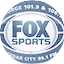 Logo 101.9 & 99.1 Dave FM