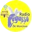 Logo RADIO Pegasso De Monclova