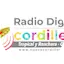 Logo Radio Nueva Cordillera FM