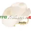 Logo Tierra Kaliente.com