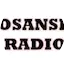 Logo Bosanski Radio