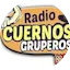 Logo Radio Cuernos Gruperos 88.7 FM