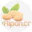 Logo myRipon Radio