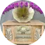 Logo Nosztalgia Radio