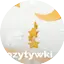 Logo Radio Open FM - Pozytywki