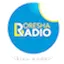 Logo Boresha Radio