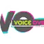 Logo Voice Over Radio
