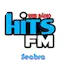Logo Hits FM Seabra
