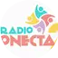 Logo Radio Conecta2
