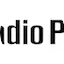 Logo Pin Radio