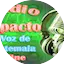 Logo Radio Impacto La voz