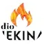 Logo Rádio Shekinah