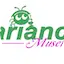 Logo Variance Musette
