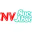 Logo CNV Succès Absolus