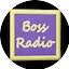Logo Boss Radio