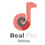 Logo Realpro Online