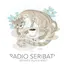 Logo Radio Seribatu - Village