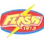 Logo Flash FM 107.5 (The Best)