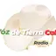 Logo La Voz de Tierra Caliente