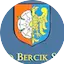 Logo Radio Bercik Silesia