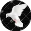 Logo Osomafo Fm
