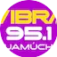 Logo Vibra Radio FM