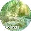 Logo Radio Art - Nature