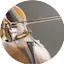 Logo Radio Art - Cello