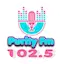 Logo Purity 102.5 Fm